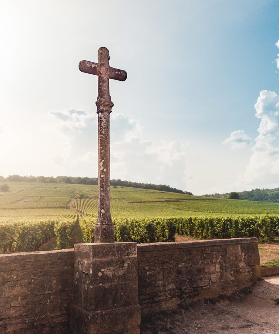 Het wereldberoemde symbool van de romanéeConti wijngaard. (credit Phillip Gow / iStockphoto)