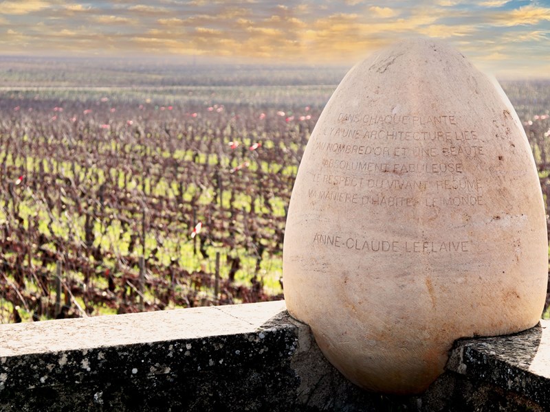 Investment in Domaine Leflaive